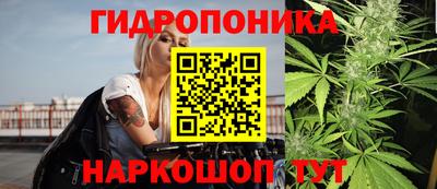 шишки Пыть-Ях