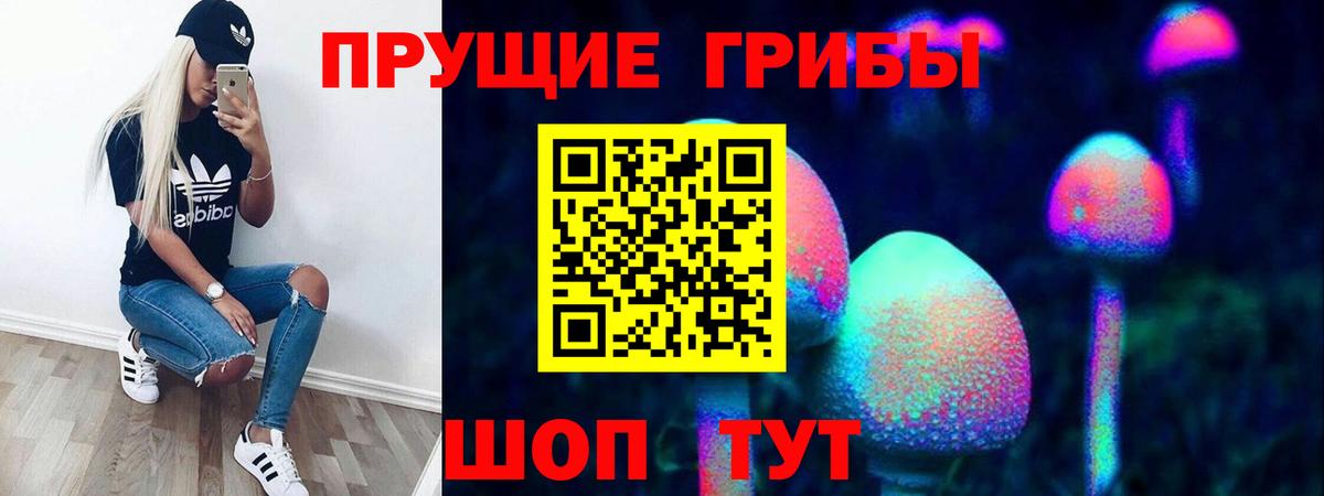Галлюциногенные грибы Psilocybine cubensis Соликамск